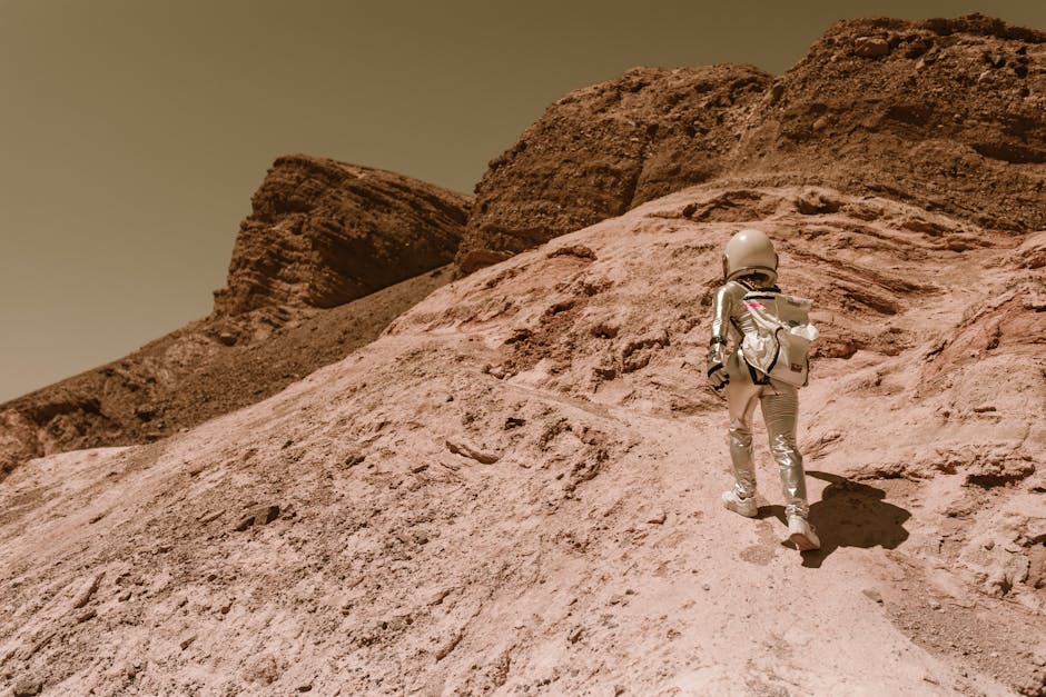 The Science of Space Walks: Risks and Rewards