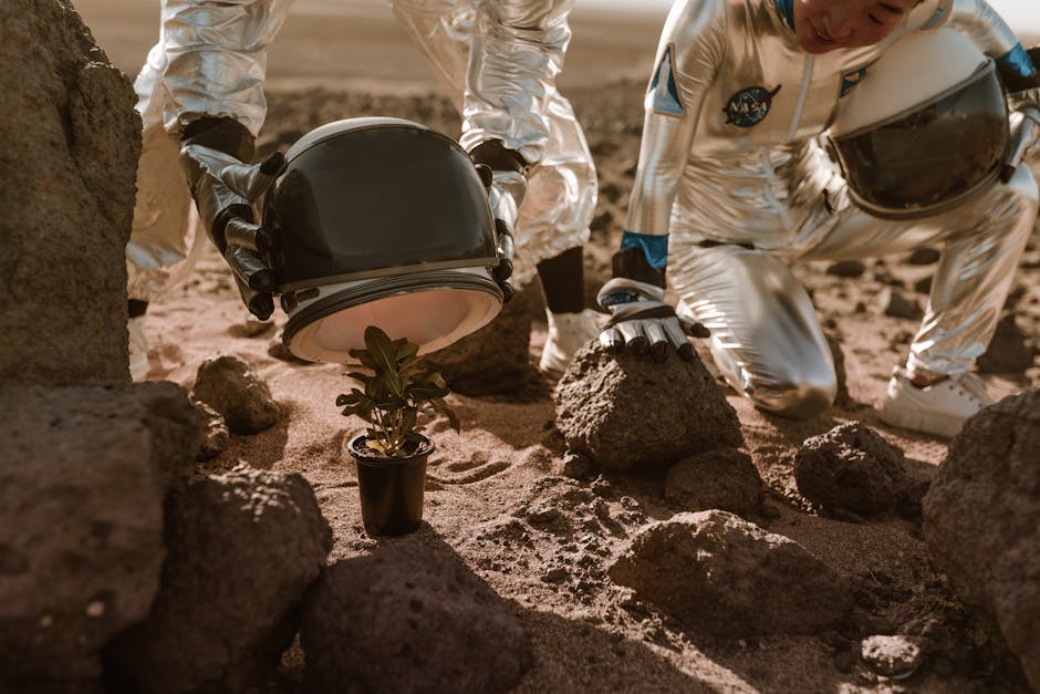 Alien Encounters: Science Fiction or Reality?