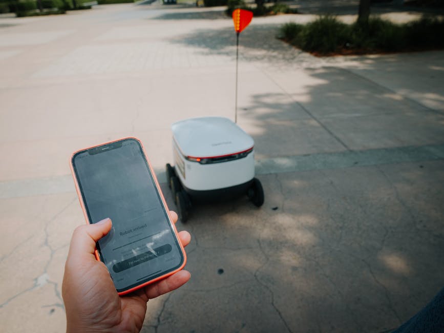 The Role of AI in Smart Cities